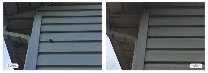 vinyl siding restore after | Surface Resto