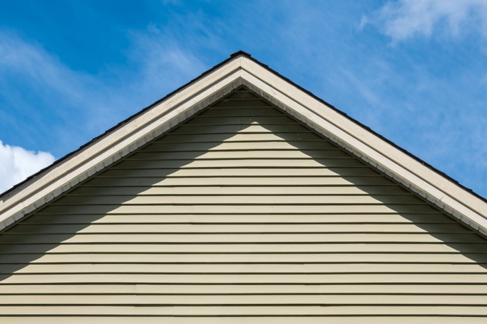 Low Maintenance Siding Options for Your Home | Angi