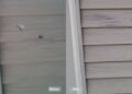 Vinyl Siding and PVC Window Repair Restoration