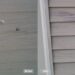 Vinyl Siding and PVC Window Repair Restoration